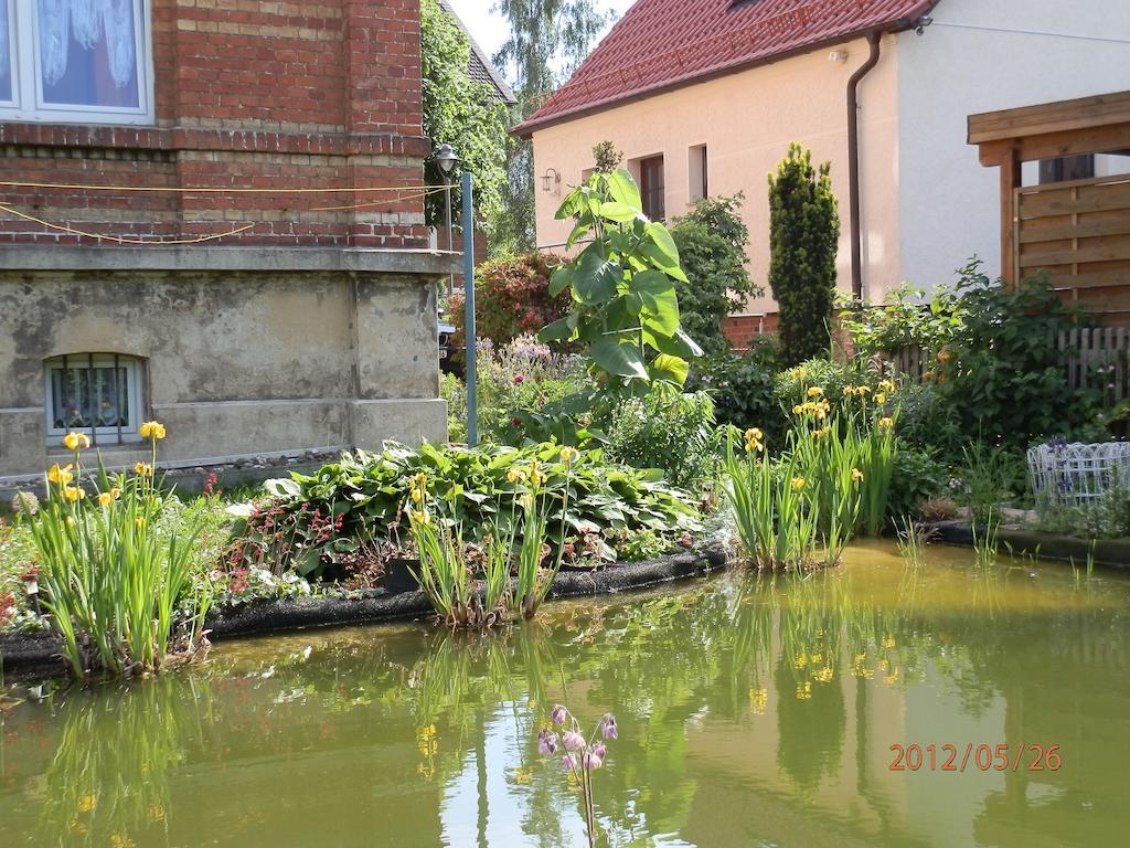 Ferienwohnung Fedler Blankenburg  Rom bilde